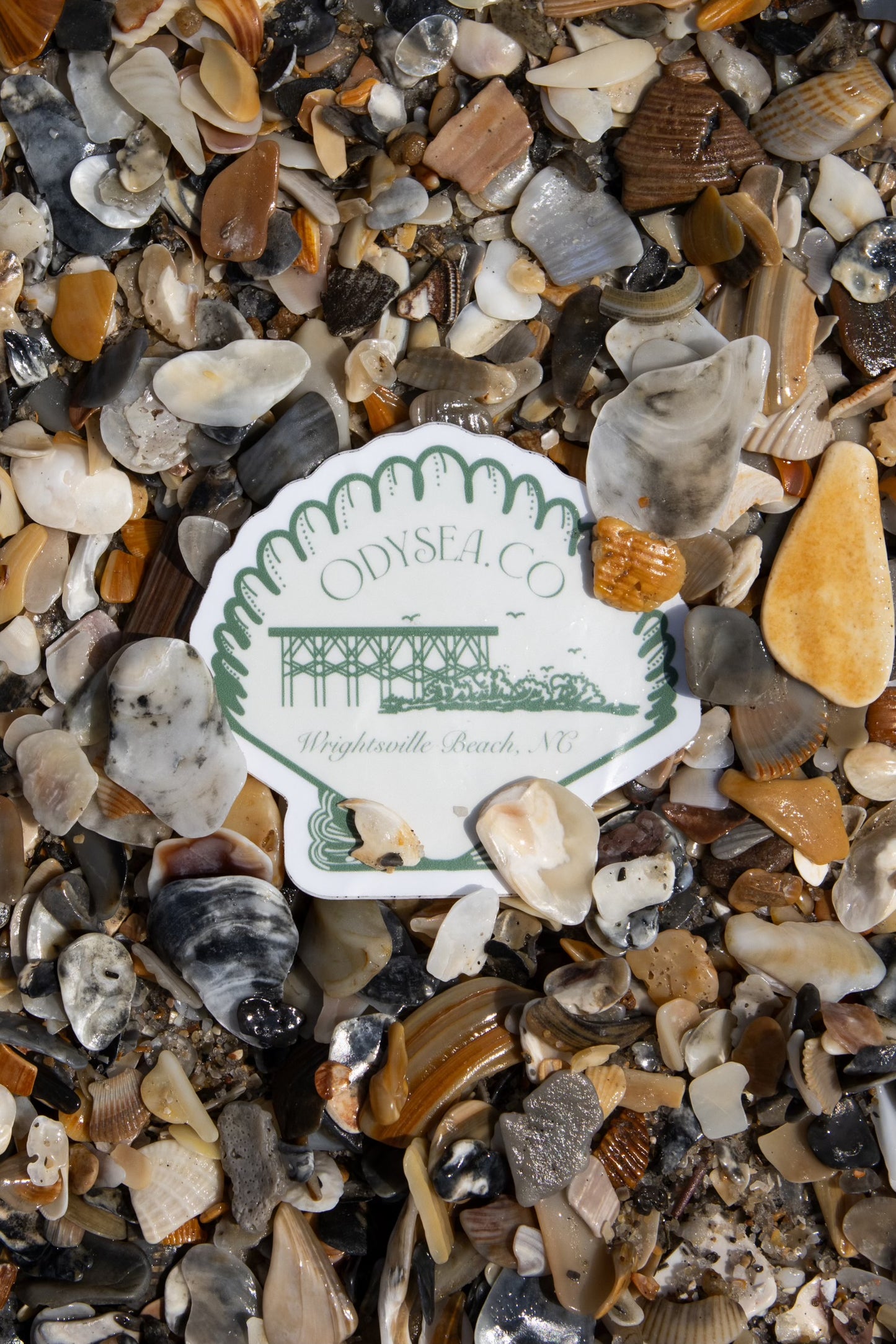 Shell sticker